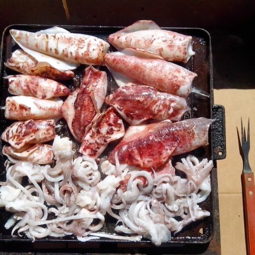 Tribalo je počet pisat, pa ajmo o lignjami….
