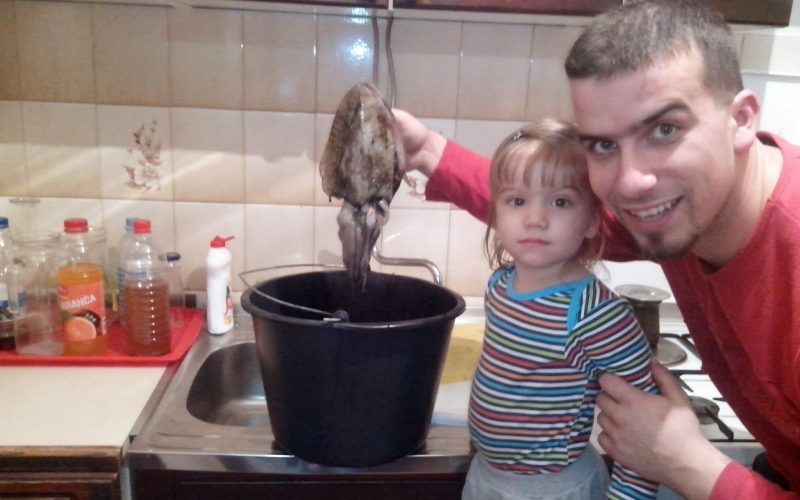Sipa od 70 dag, moj kapitalac u sipama za 2013. godinu