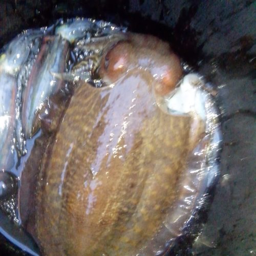 6 kilograma liganja u jednu večer i 4 u drugu