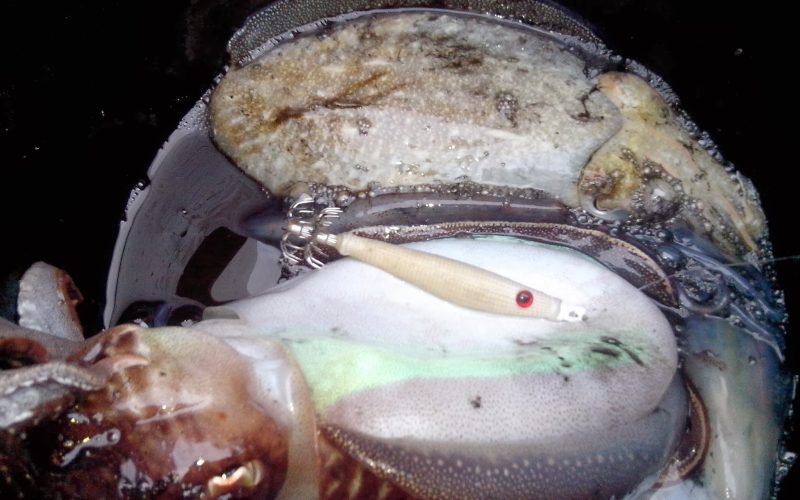 Nanizale se sipe trofeji