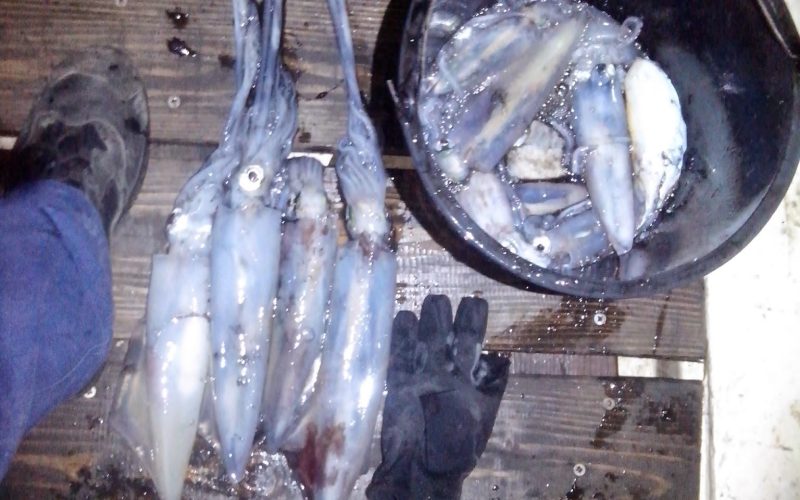 Dubine kriju iznenađenja