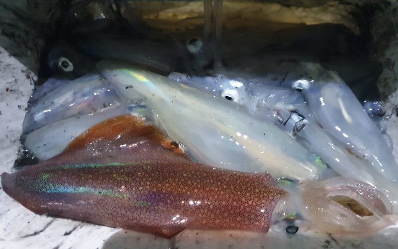 Neke nove „pošte“ daju zanimljiv rezultat