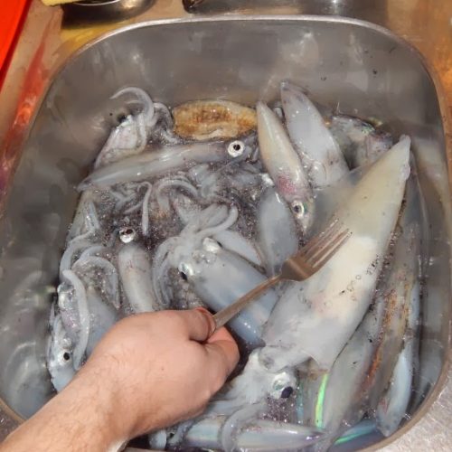 5 kg na nepoznatom terenu