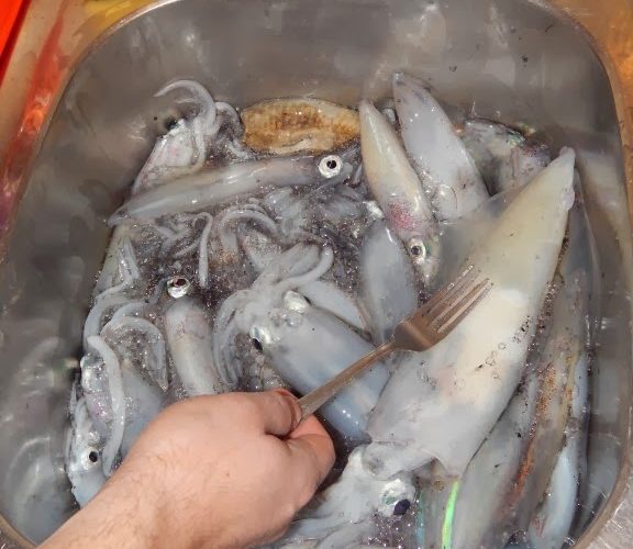 5 kg na nepoznatom terenu